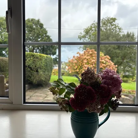 The At Hollywell * Carrick on Shannon